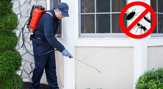 Bafra Dezenfeksiyon böcek ilaçlama ve haşere kontrolü — ilaclama-tr.com